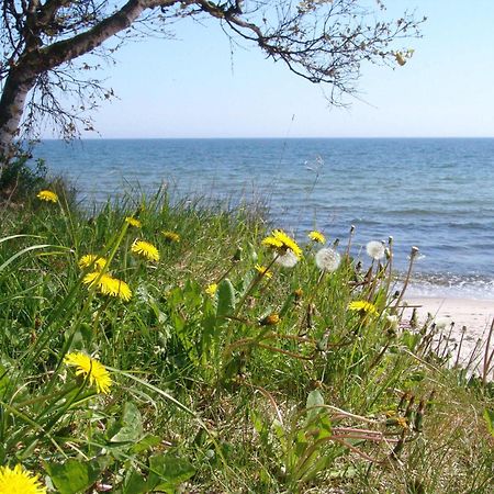 Ystad Camping Kültér fotó