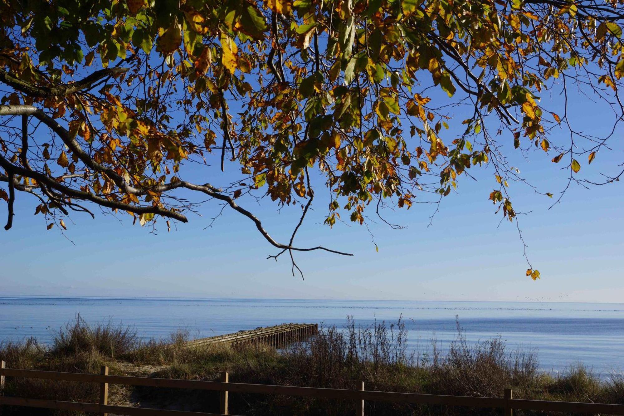 Ystad Camping Kültér fotó