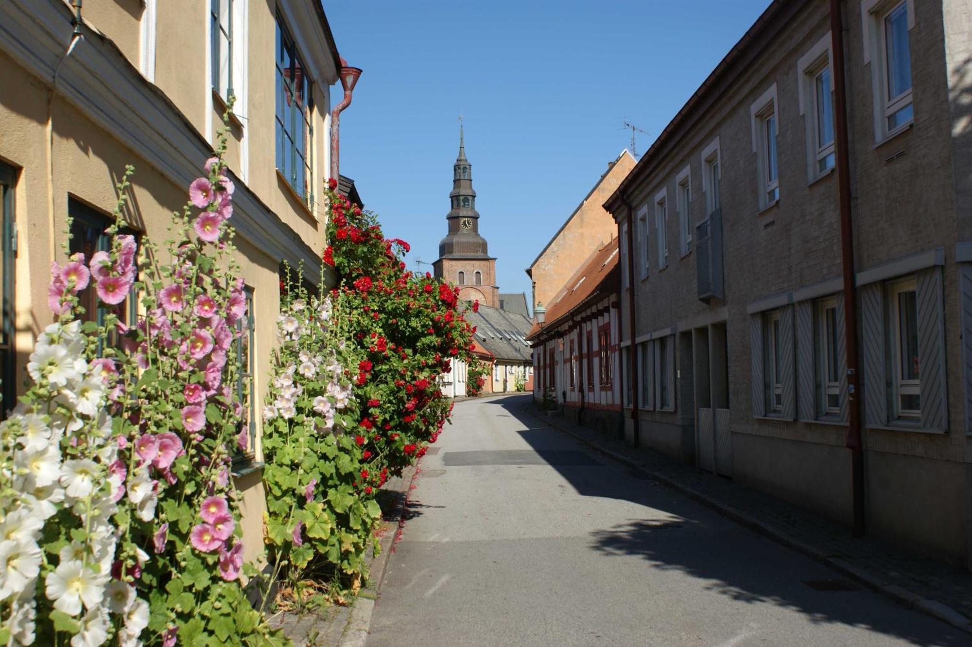 Ystad Camping Kültér fotó