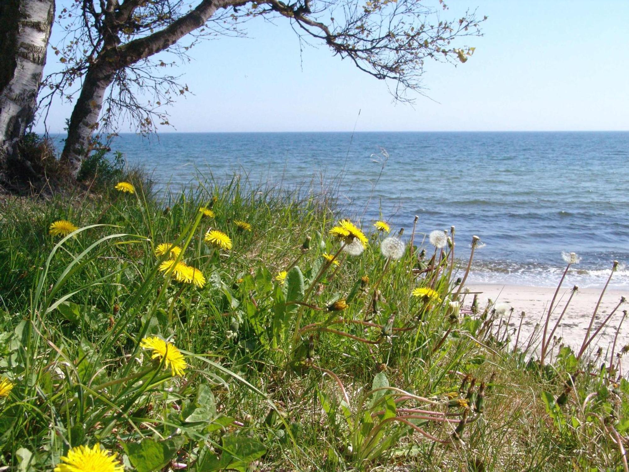 Ystad Camping Kültér fotó